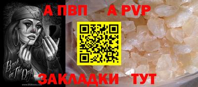 spice Ярославль