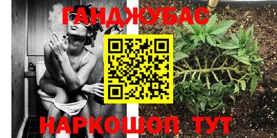 spice Ярославль