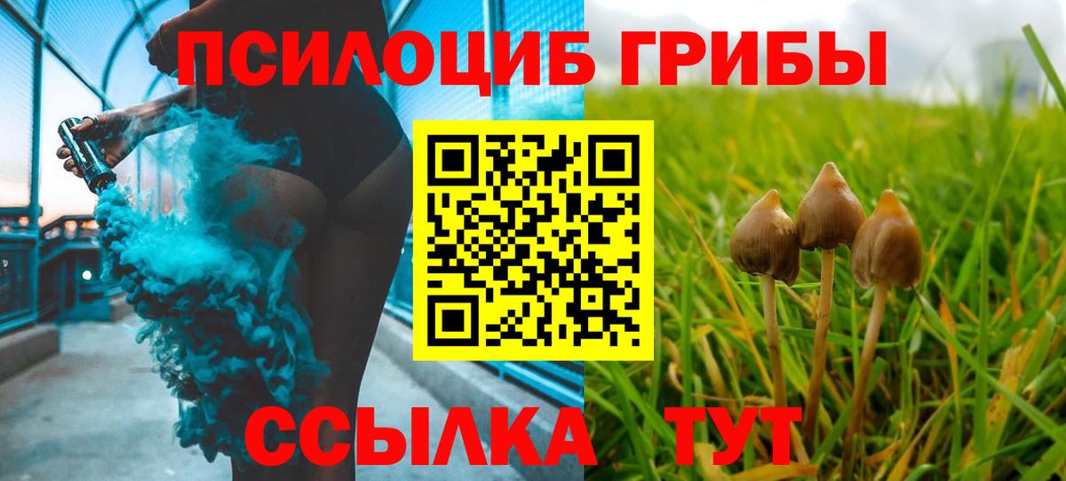 Лянтор  Галлюциногенные грибы Psilocybe  Вход с VPN 